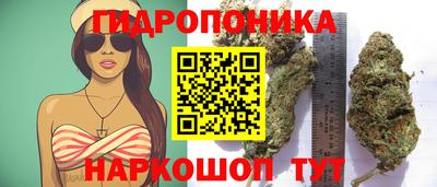 бошки Ливны